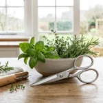 Herb Strippers and Scissors for Fresh Cooking - guide